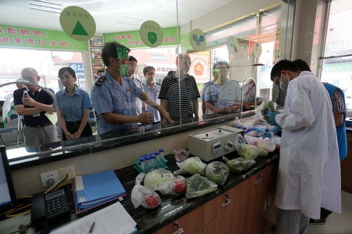 食用農產品抽檢全合格，人大代表政協委員現場見證助力零售安全